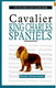 a new owners guide to cavalier king charles spaniels