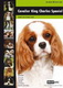 cavalier king charles spaniel dog breed expert series