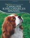 cavalier king charles spaniel doglife series