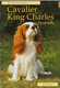 cavalier king charles spaniels pet owners guide