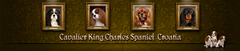ckcs_croatia_banner