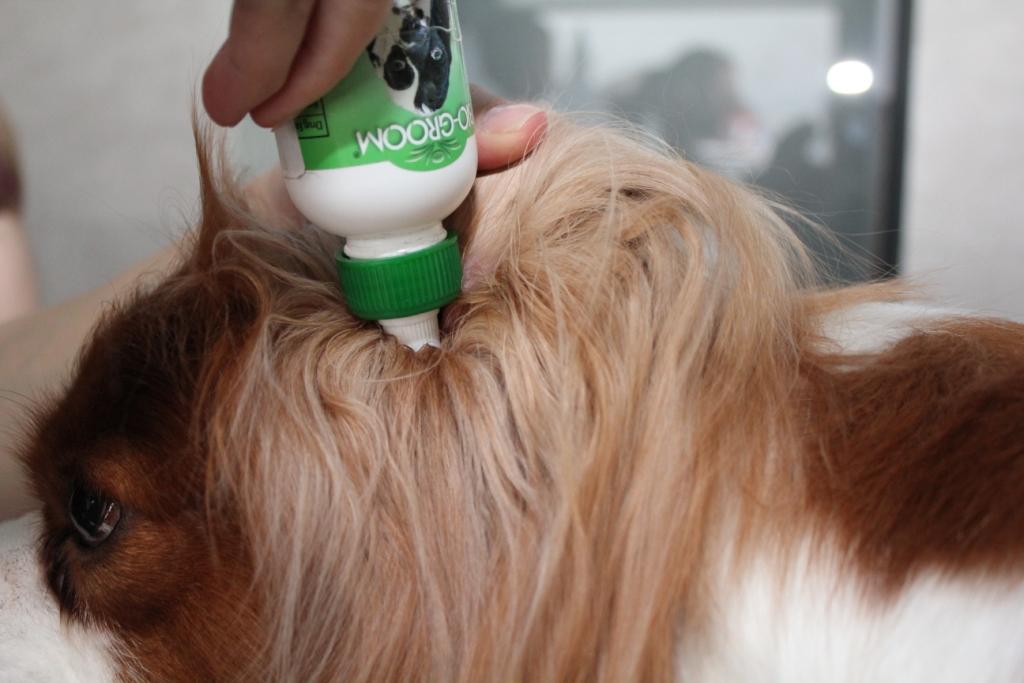 Grooming photo3 doc